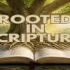 Rooted in Scripture