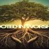 Rooted in Christ
